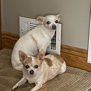 Meet your Posher, Jt